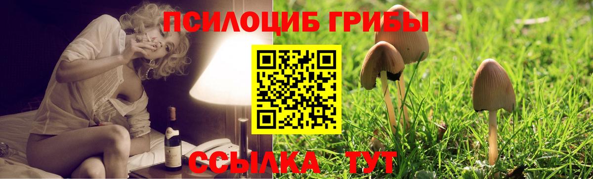 купить наркотик  Вход с VPN  Луга  Псилоцибиновые грибы Magic Shrooms 